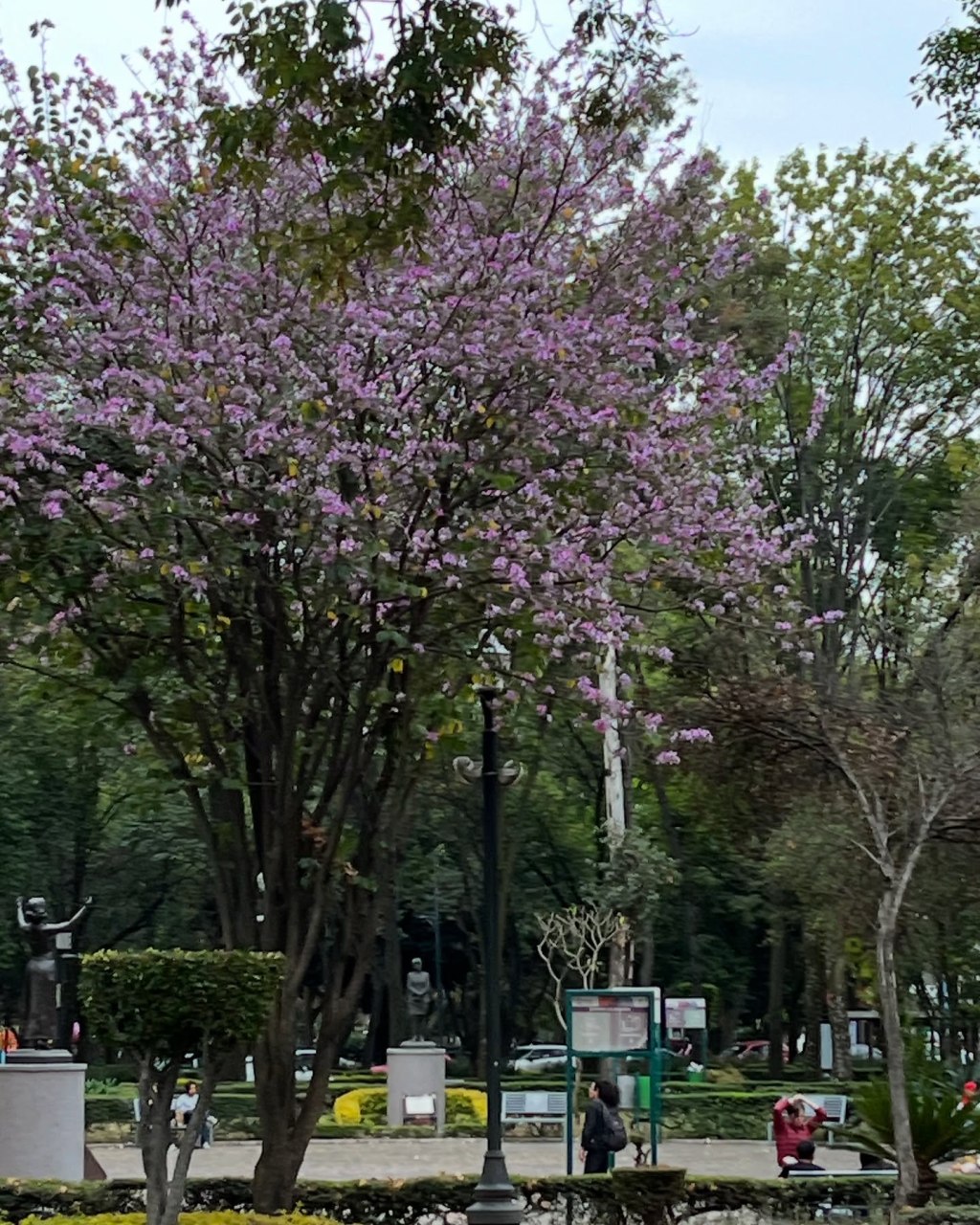 tan fugaz : tan de&nbsp;repente